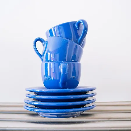 Functional In * 파리