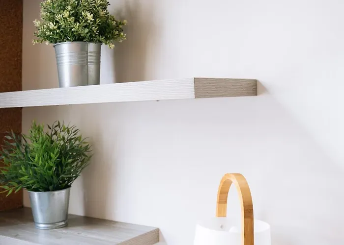 公寓 Functional In *