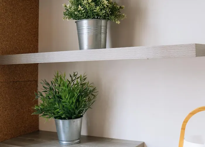 公寓 Functional In *